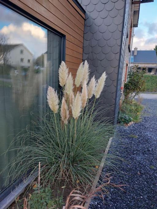 Le Reposoir Maison Spacieuse Avec Feu Au Bois Bertogne Екстер'єр фото